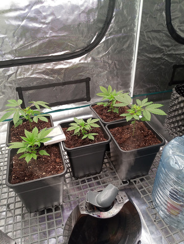 IMG 20230324 184652 646.jpg