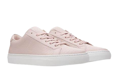 th removebg preview.png