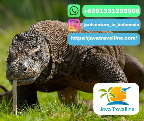 Komodo Island Tour Price.jpg