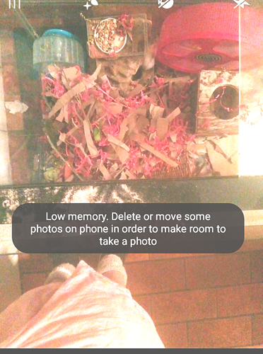 fotor 2023 3 26 22 31 22.png