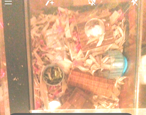 fotor 2023 3 26 22 29 21.png