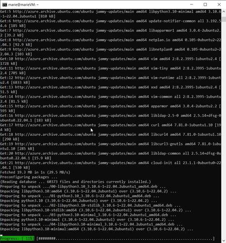 Screenshot2023 03 26 22 17 36 marie@marieVM ~.jpg