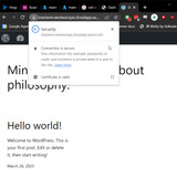 Screenshot2023 03 26 23 42 21 SEL WordPress