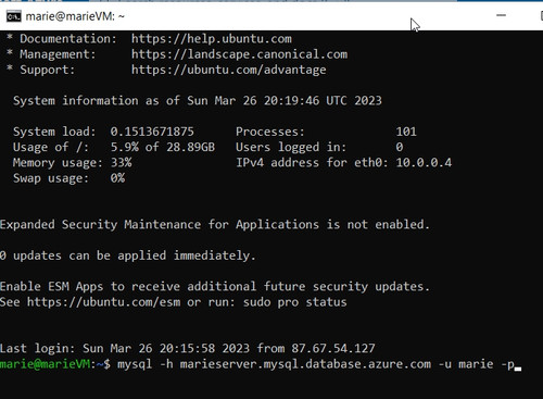 Screenshot2023 03 26 22 21 31 marie@marieVM ~.jpg