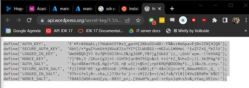 Screenshot2023 03 26 23 07 28 https api.wordpress.org secret key 1.1 salt .jpg