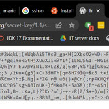 Screenshot2023 03 26 23 07 28 https api.wordpress.org secret key 1.1 salt 
