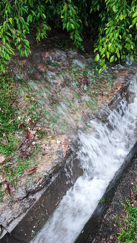 WhatsApp Image 2023 03 27 at 8.33.37 AM.jpg