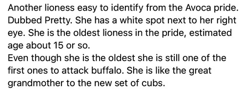 0BE85E0A 9ED1 4EC2 AD3B E5BFCA823D6C.jpg