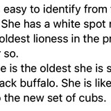 0BE85E0A 9ED1 4EC2 AD3B E5BFCA823D6C