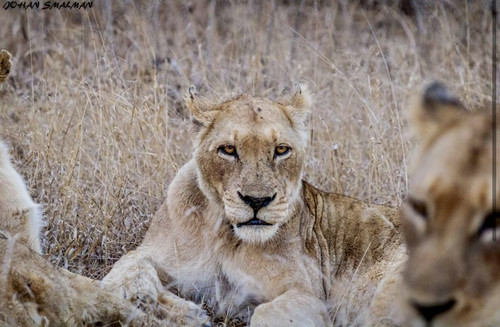 9E63BDE1 42C3 4E43 B21C 30E2BE6B8327.jpg