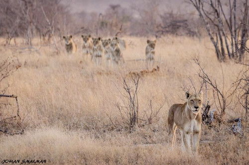 CB765FD4 9DD3 468E A3AB 5C3A0F679FDE.jpg