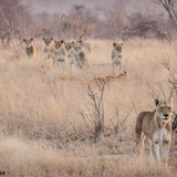 CB765FD4 9DD3 468E A3AB 5C3A0F679FDE