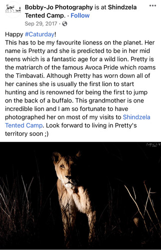 7BEC5E0B 4DF9 46A0 A0E7 76F35C29A667.jpg