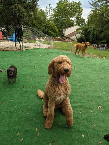 61904950 910F 40D9 966C 622B41BAD3A1.jpg