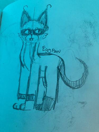 3B19CDFE 1DE1 4C5F 8C1E 8F8BDC12B4E9.jpg