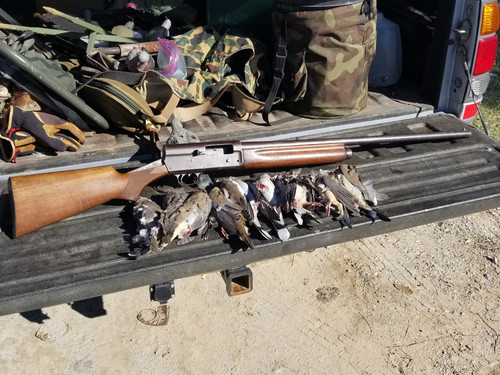 thumbnail 20191027 105414.jpg