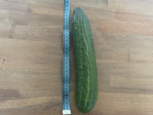 F634A732 B62A 48C8 A3E9 D8DD28A62E5D.jpg