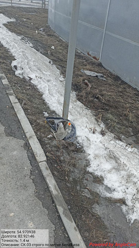 IMG 20230327 130257 918.jpg