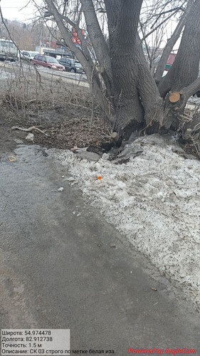 IMG 20230327 130309 398.jpg