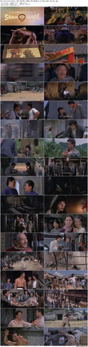 The.Spiritual.Boxer.1975.BluRay.1080p.DTS HD.MA.2.0.x265.10bit BeiTai preview.jpg