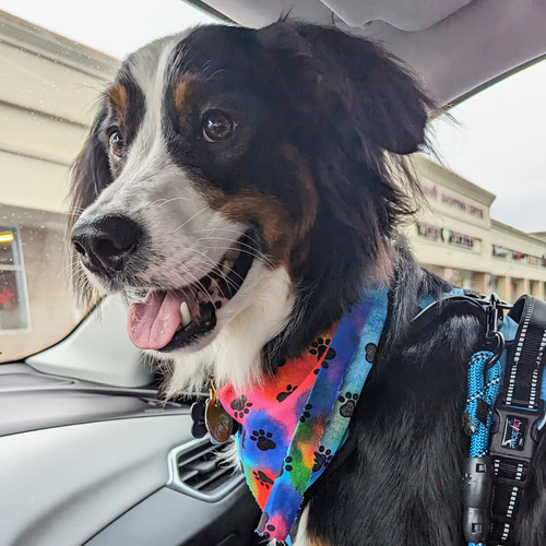 PXL 20230325 164629807~2