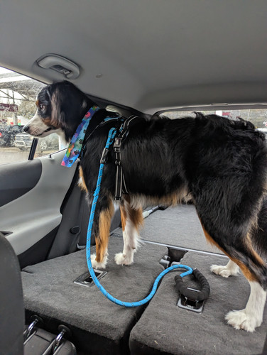 PXL 20230325 163023958