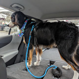 PXL 20230325 163023958