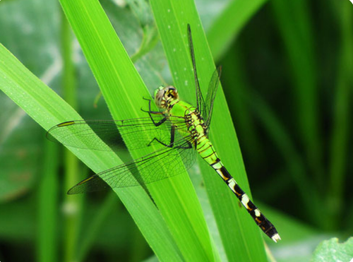 Screenshot 2023 03 25 214504.png