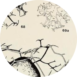 E666A7E9 0789 4A82 963E 4BF9B79DED87.png