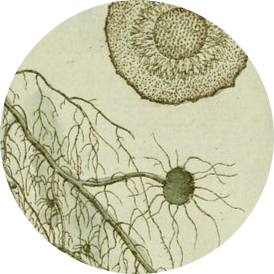 D1CFA6C4 A2F1 4CD3 AC3F 23C9ADA273D7.png