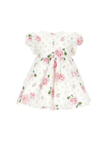 31A909 1626 9990 02.jpg