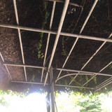 KERANGKA ATAP Taman Depan DTS