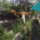 KOLOM 2 Taman Depan DTS