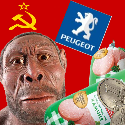 meme avatar.jpg