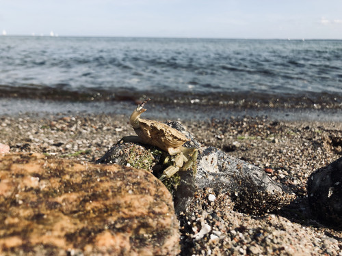 6EFFF1C3 5805 4B8D B001 5C4B7082B399.jpg