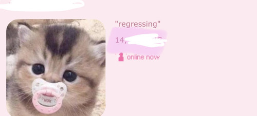 E119E1B5 5C56 4E66 913D BC9BD10DF68A.jpg
