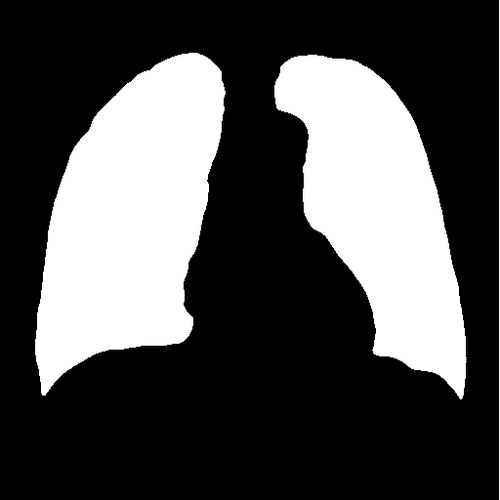 pred mask.png