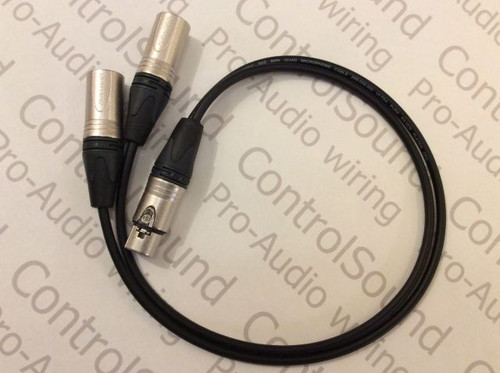 Mini Quad 2 Reduced.jpg