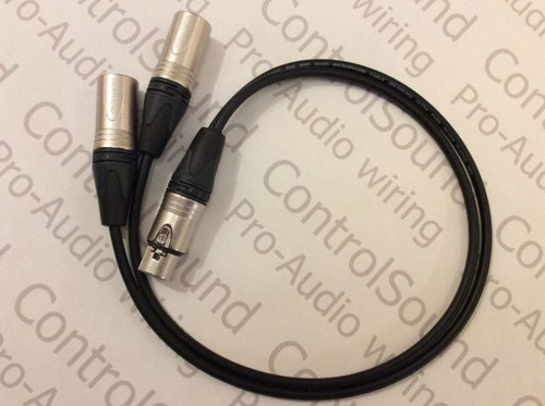 Mini quad 3 reduced.jpg