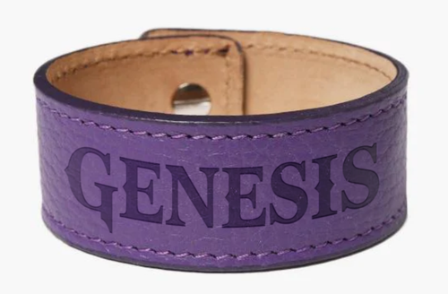GENbracelet.png