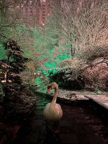 318436616 726728955067572 4919251262806677876 n.jpg