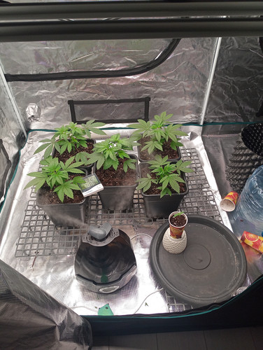 IMG 20230328 000129 022.jpg