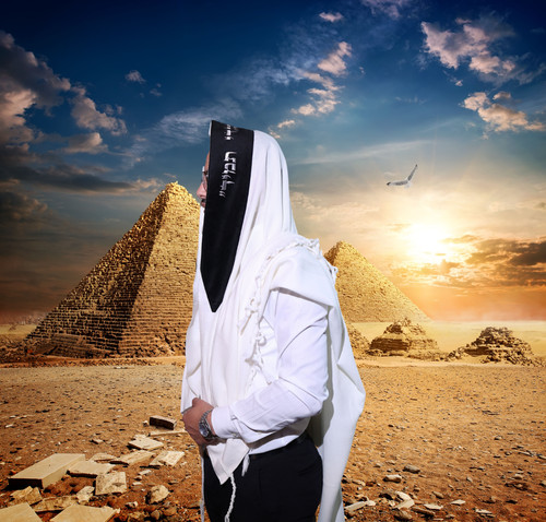 shutterstock 313114253 copy.jpg