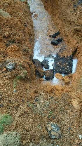 WhatsApp Image 2023 03 27 at 3.43.43 PM.jpg