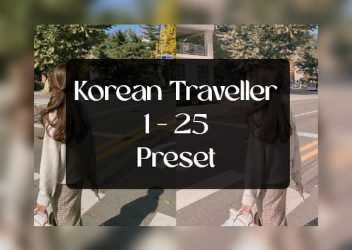 Korean Traveller 1 25.jpg