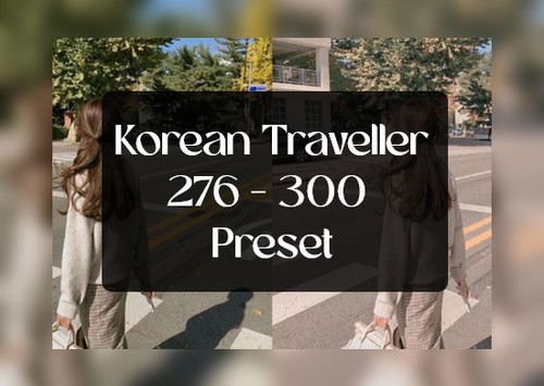 Korean Traveller 276 300.jpg