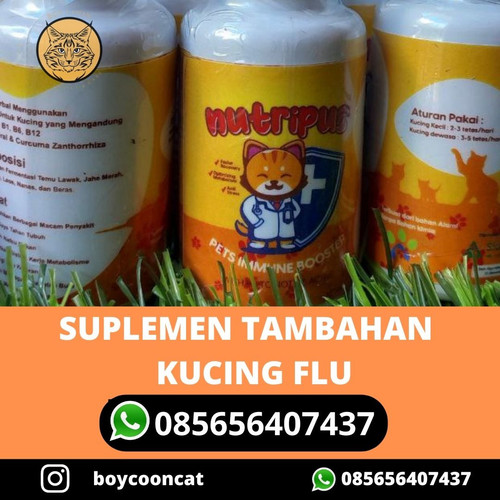 SUPLEMEN TAMBAHAN KUCING FLU.jpg