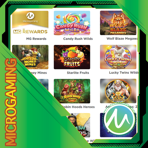 26. MICROGRAMING.png