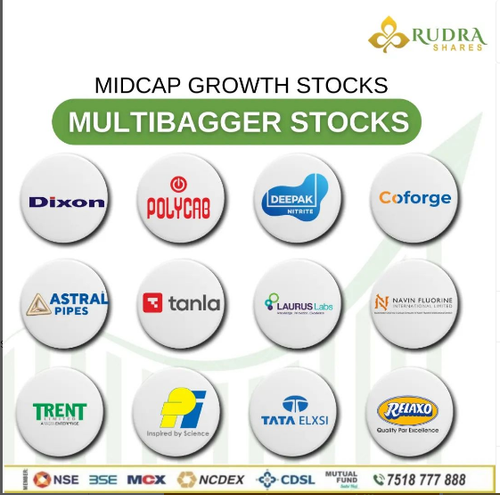 Rudra Shares MIDCAP GROWTH STOCKS 1.png