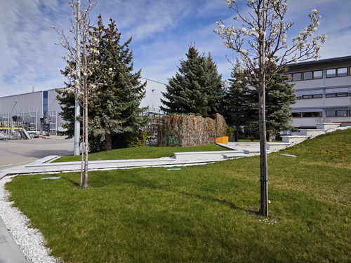 IMG 20230329 105323.jpg